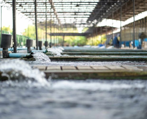 Water,Flow,Treatment,System,From,The,Water,Pump,Pipe.motion,Of Water,Flow,Treatment,System,From,The,Water,Pump,Pipe.motion,Of